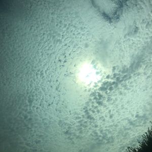 Meet your Posher, Florence